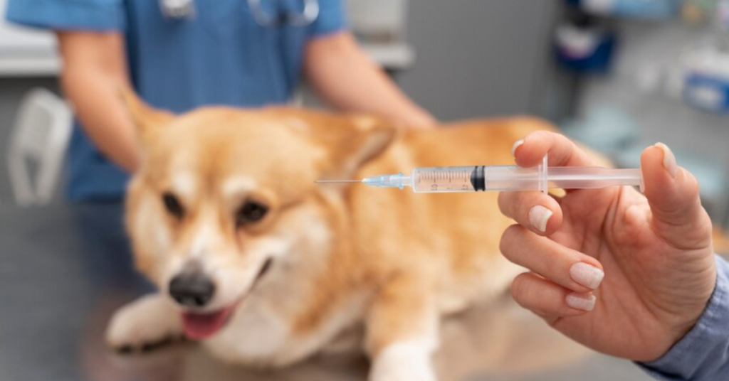 Dog Vaccines