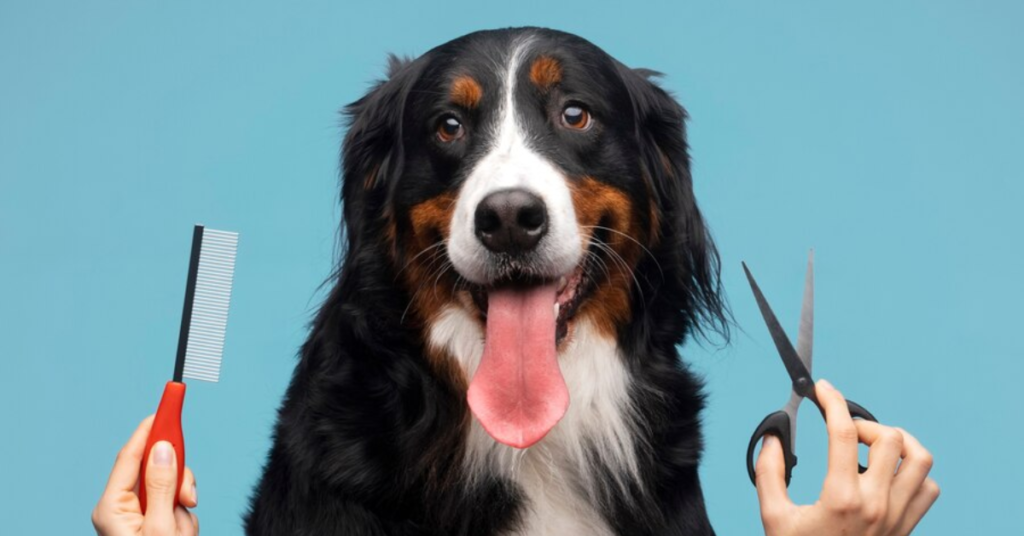 Dog grooming